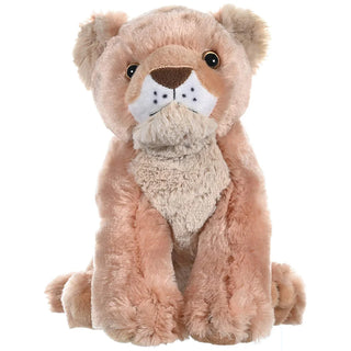 Ck Lion Cub