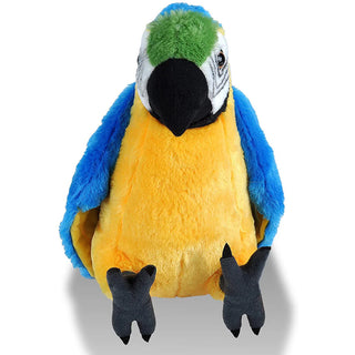 Ck Blue Yellow Macaw
