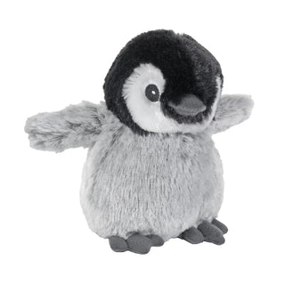Ck Penguin Playful