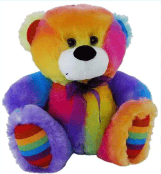 Rainbow bear 23cm