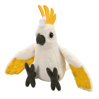 Ck Cockatoo