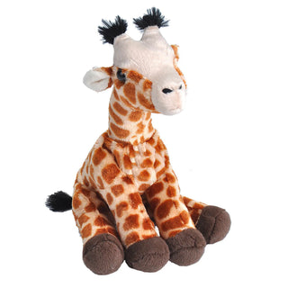 Ck Giraffe Baby