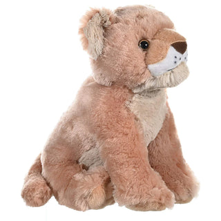Ck Lion Cub