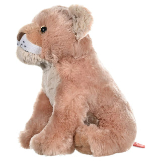 Ck Lion Cub