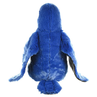 Ck Hyacinth Macaw