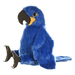 Ck Hyacinth Macaw