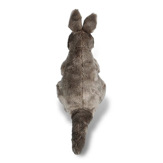 Ck Kangaroo