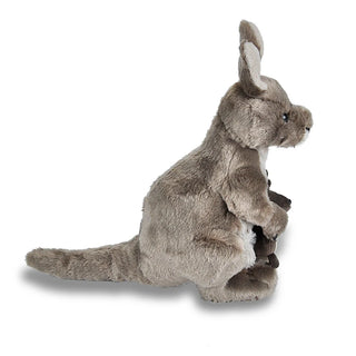 Ck Kangaroo