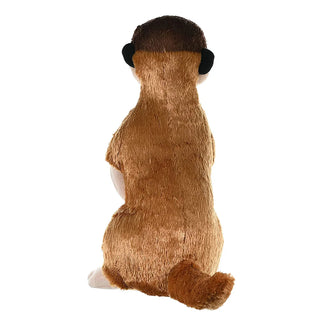 Ck Meerkat