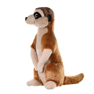 Ck Meerkat