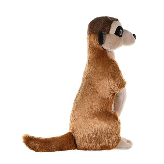 Ck Meerkat