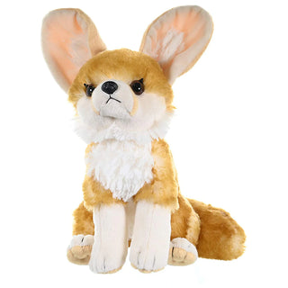 Ck Fennec Fox