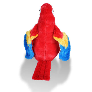 Ck Scarlet Macaw