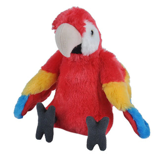 Ck Scarlet Macaw