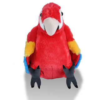 Ck Scarlet Macaw