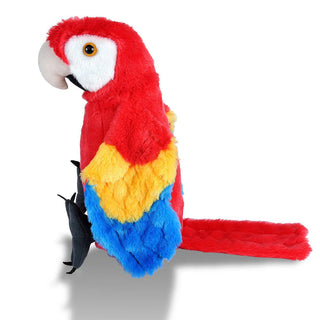 Ck Scarlet Macaw