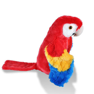 Ck Scarlet Macaw