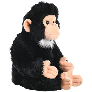 Ck Chimpanzee