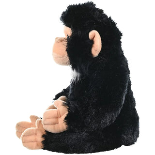Ck Chimpanzee