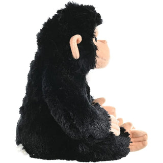 Ck Chimpanzee