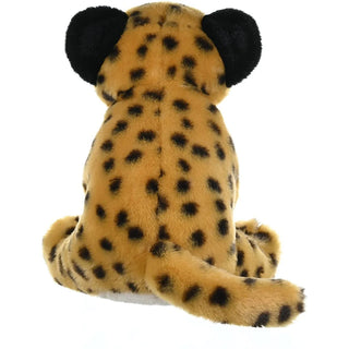 Ck Cheetah Cub