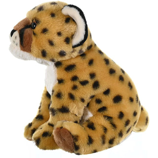 Ck Cheetah Cub