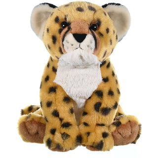 Ck Cheetah Cub
