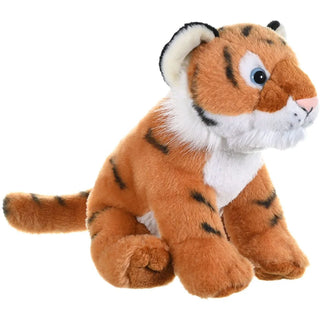 Ck Tiger Cub