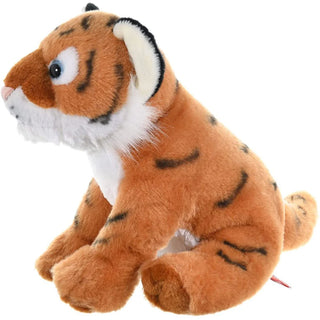 Ck Tiger Cub