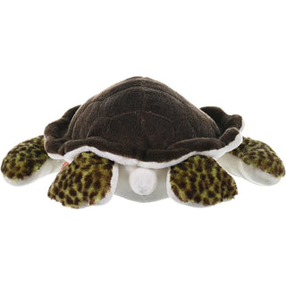 Ck Green Sea Turtle