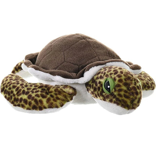 Ck Green Sea Turtle