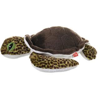Ck Green Sea Turtle