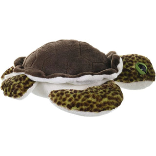 Ck Green Sea Turtle