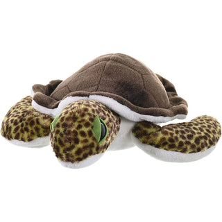 Ck Green Sea Turtle
