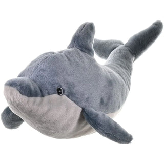 Ck Dolphin