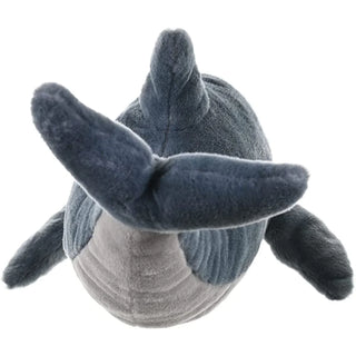 Ck Dolphin