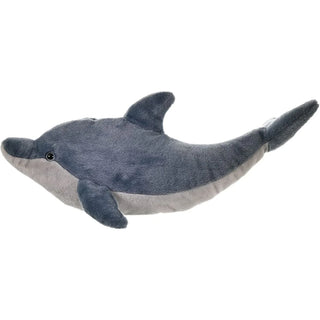 Ck Dolphin